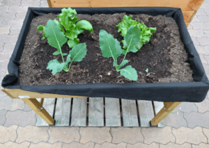 Hochbeet mit Füßen Vorteile, Tipps und Modelle mit Beinen