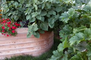 Was macht man mit dem Hochbeet im Winter? Hochbeet Ratgeber